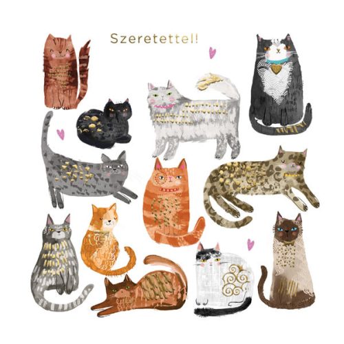 Cicás üdvözlőlap - Szeretettel