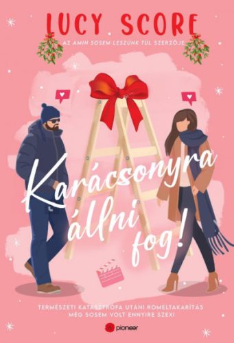 Karácsonyra állni fog! - Természeti katasztrófa utáni romeltakarítás még sosem volt ennyire szexi