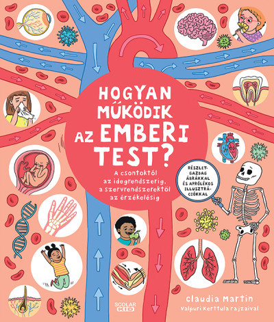 Hogyan működik az emberi test? - A csontoktól az idegrendszerig, a szervrendszerektől az érzékelésig